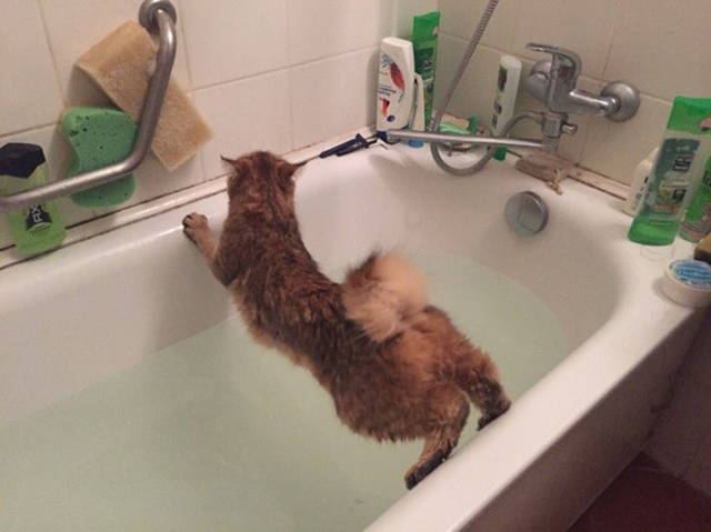 Morning Picdump