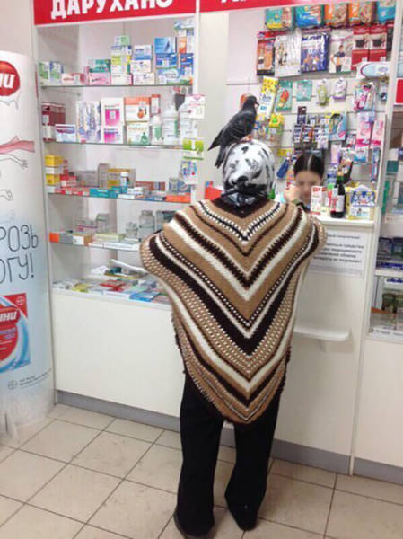 Morning Picdump