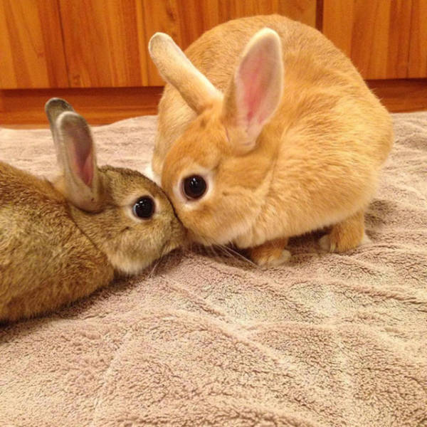 Morning Picdump