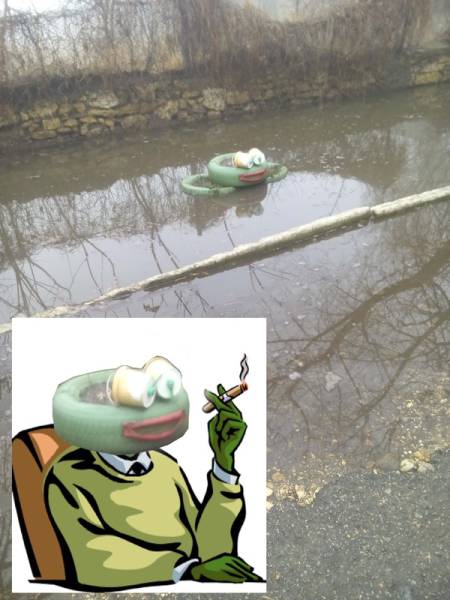 Morning Picdump