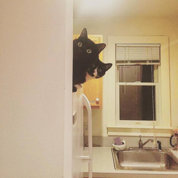 Morning Picdump