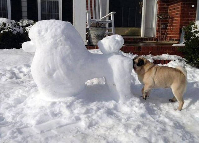 Morning Picdump