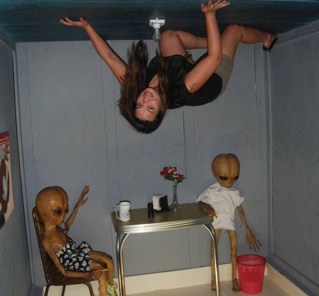 Morning Picdump