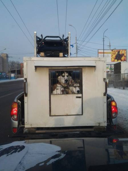 Morning Picdump