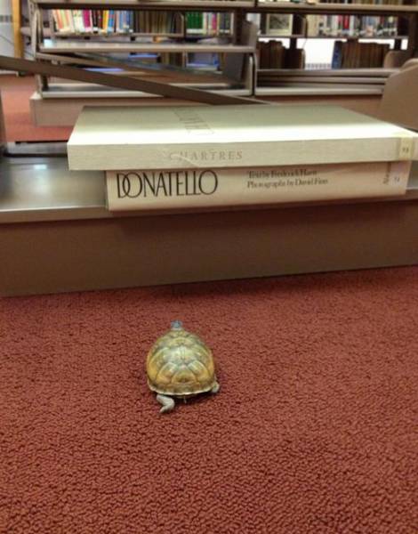 Life Is Full of Funny Coincidences