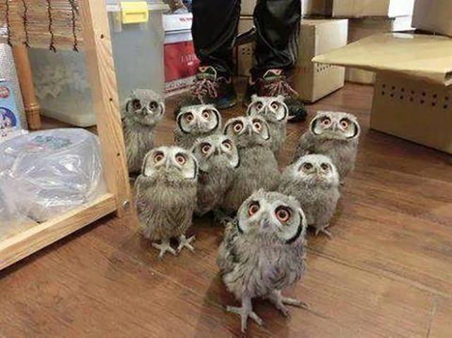 Morning Picdump