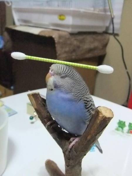 Morning Picdump