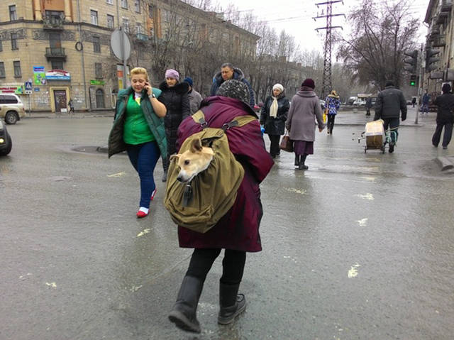 Morning Picdump