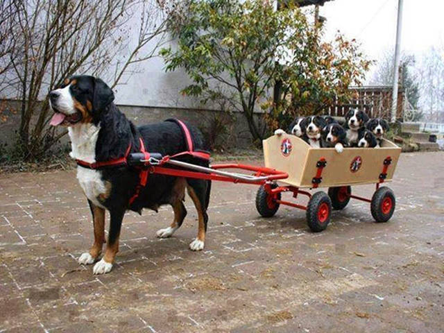 Morning Picdump