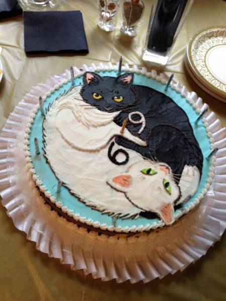 Morning Picdump