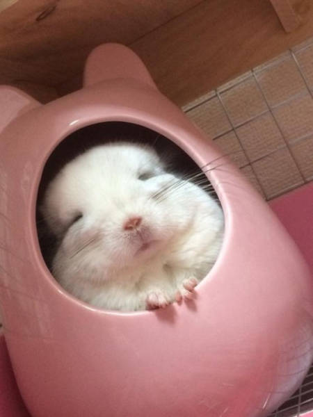 Morning Picdump
