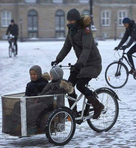 Morning Picdump