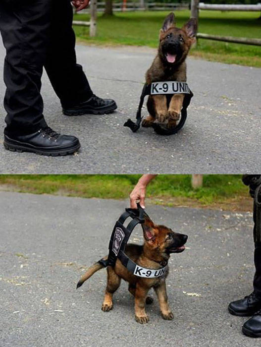 Morning Picdump