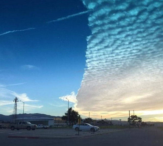 Morning Picdump