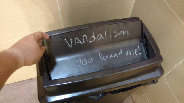 Morning Picdump