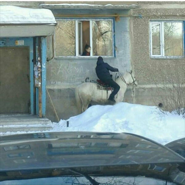 Morning Picdump