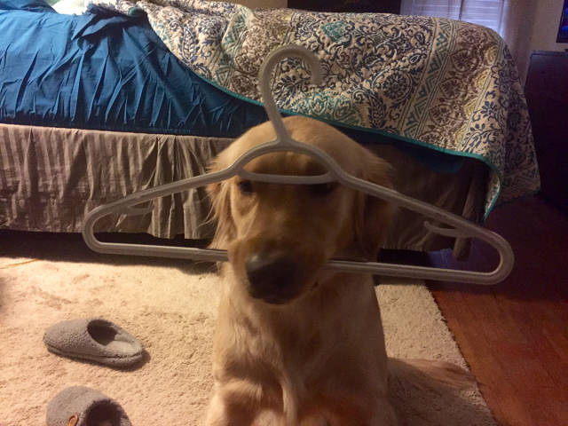 Morning Picdump