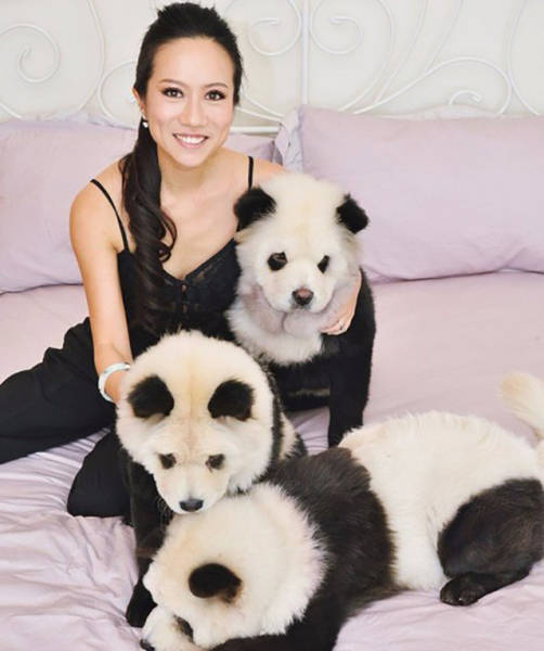 Fascinating Photos That Speak For Themselves