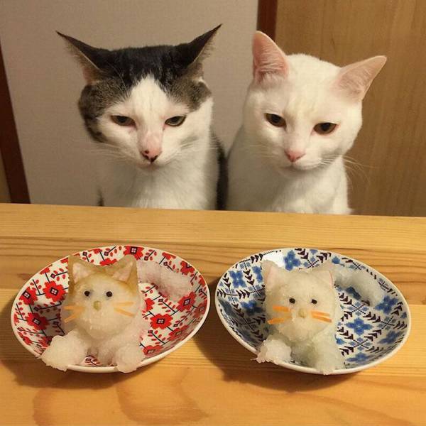 Daily Picdump