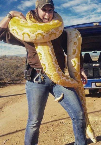 Daily Picdump