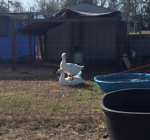 Daily Picdump
