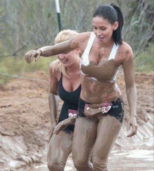 Daily Picdump