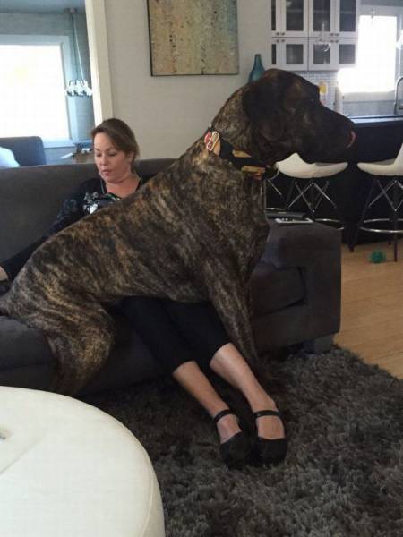 Daily Picdump