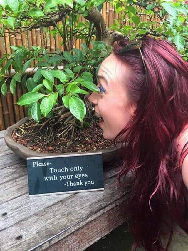 Daily Picdump