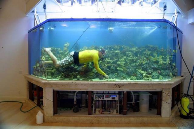 Daily Picdump