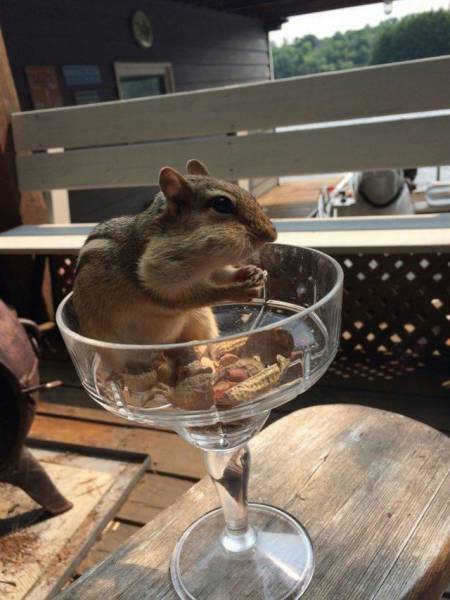 Daily Picdump
