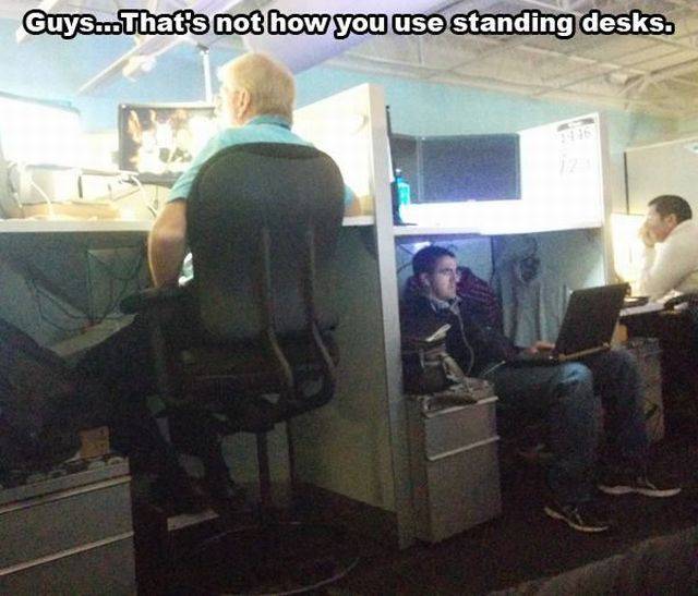 Daily Picdump