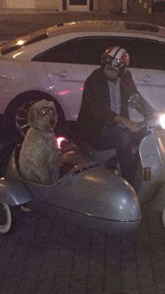 Daily Picdump