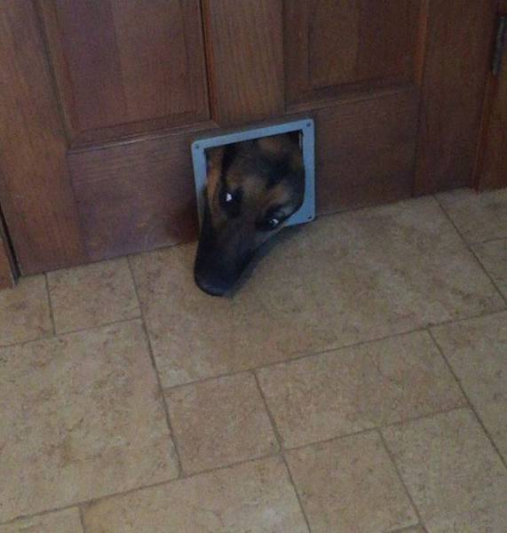 Daily Picdump