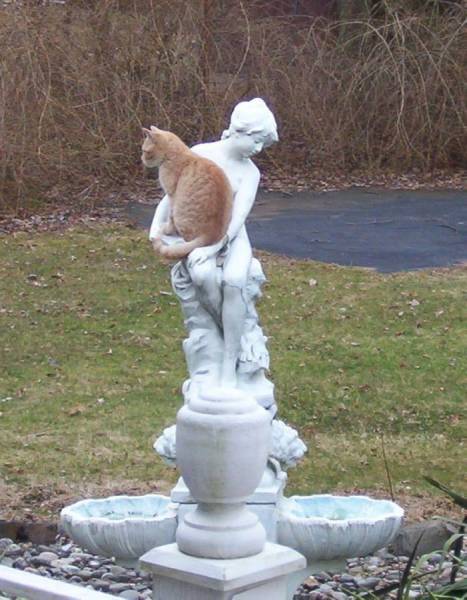 Daily Picdump