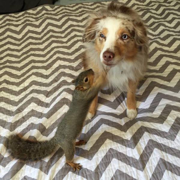 Daily Picdump