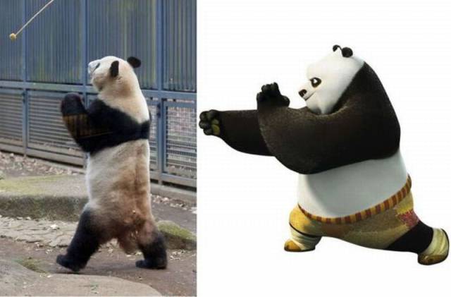 Daily Picdump