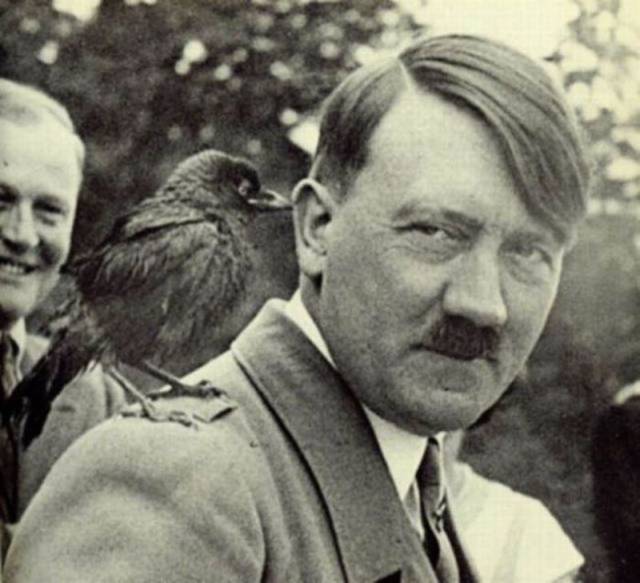 Daily Picdump