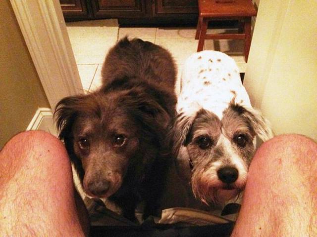 Daily Picdump