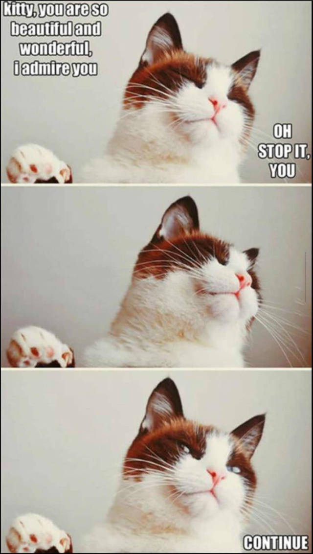 Funny Picdump