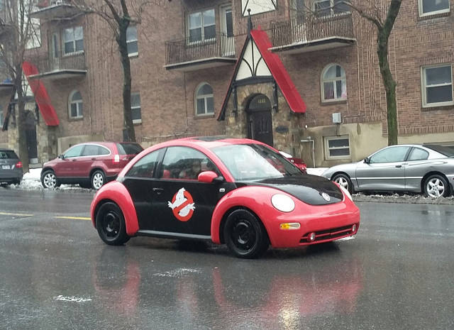 Morning Picdump