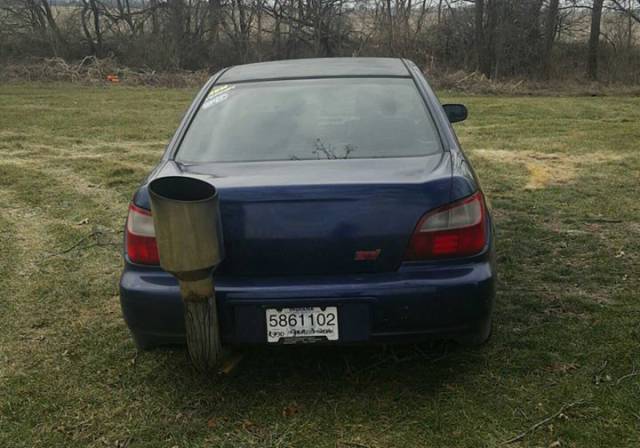 Morning Picdump