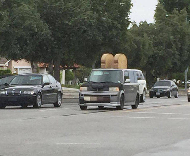 Another Batch Of Photos With Road Funnies