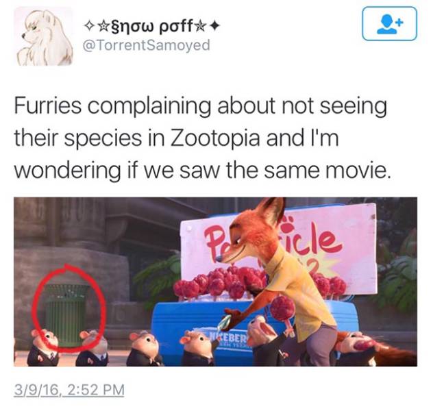 Hilarious Memes That Will Make Your Day