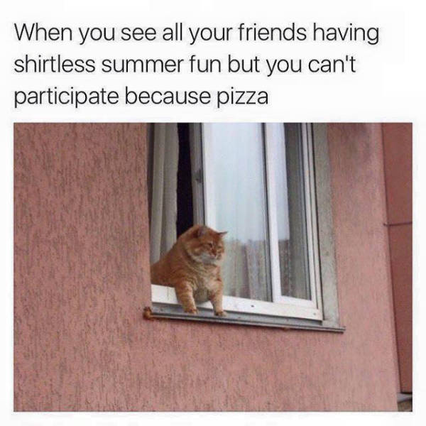 Hilarious Memes That Will Make Your Day