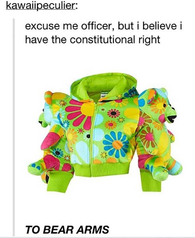 Hilarious Memes That Will Make Your Day