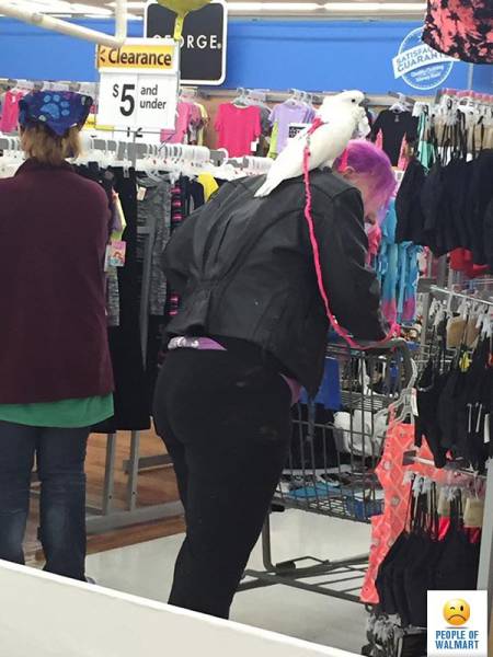 Cringe-Inducing Customers Of Walmart