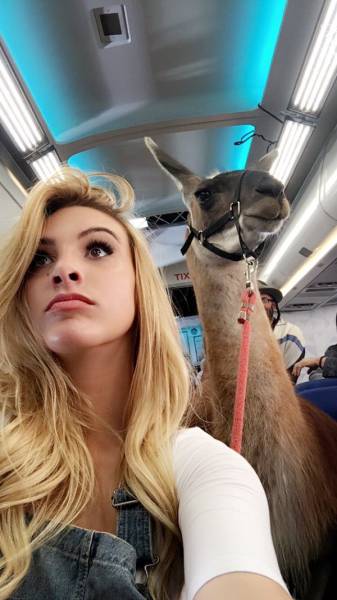 Morning Picdump