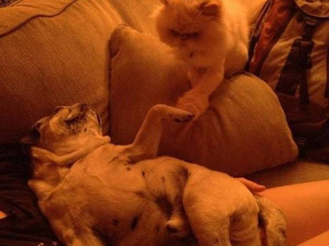 Morning Picdump