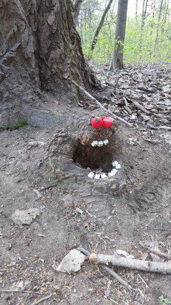 Morning Picdump