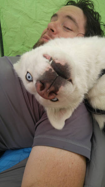 Morning Picdump